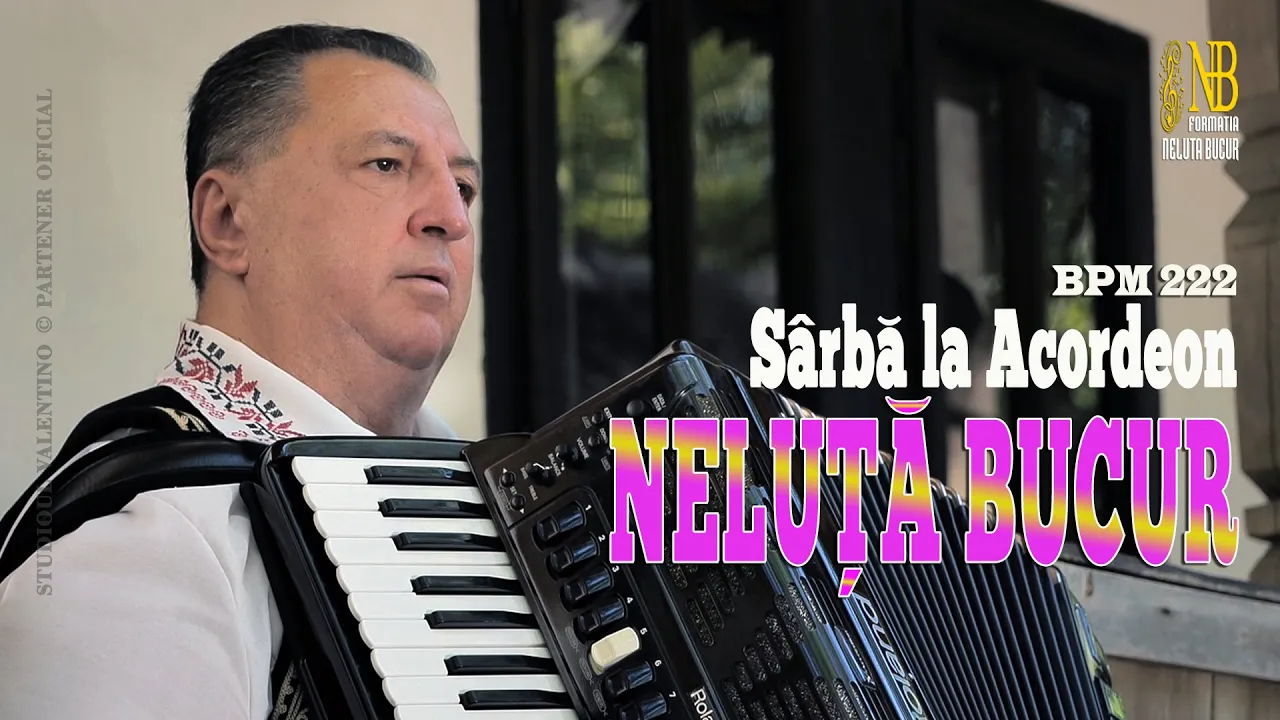 NELUTA BUCUR - Sarba la acordeon 2
