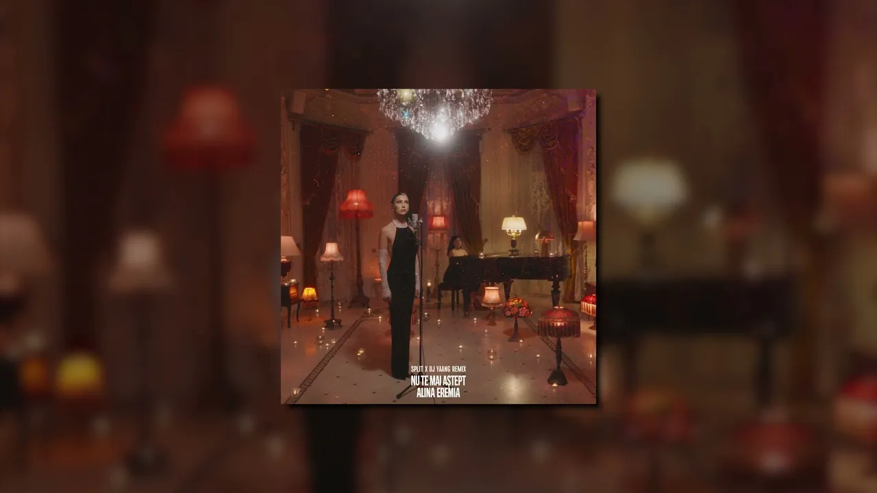Alina Eremia - Nu te mai astept (Split x DJ Yaang Remix)