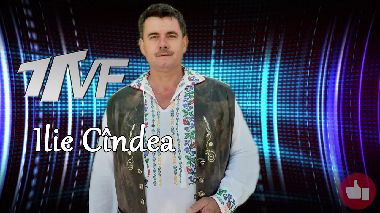 Ilie Cindea - O carte daca as scrie