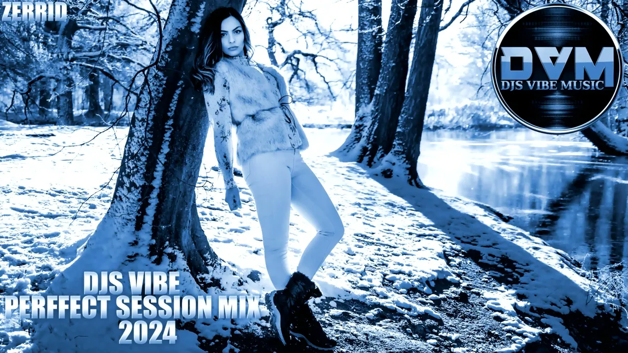 Djs Vibe - Perffect Session Mix 2024 (ZERRID)
