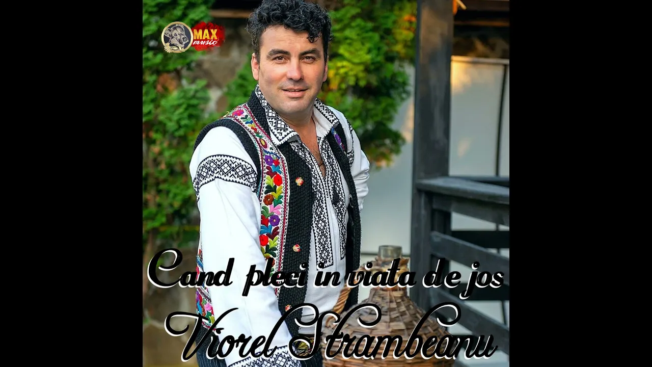 Viorel Strambeanu - Azi La Mine In Ograda