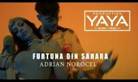 ADRIAN NOROCEL - FURTUNA DIN SAHARA