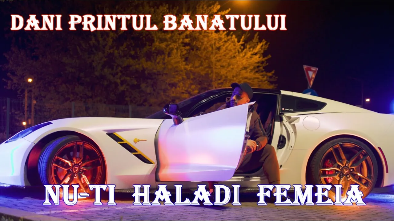 DANI PRINTUL BANATULUI - Nu-ti haladi femeia (Video Original)
