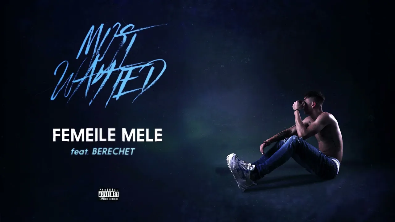 YNY Sebi x Berechet - Femeile Mele (Original Radio Edit)