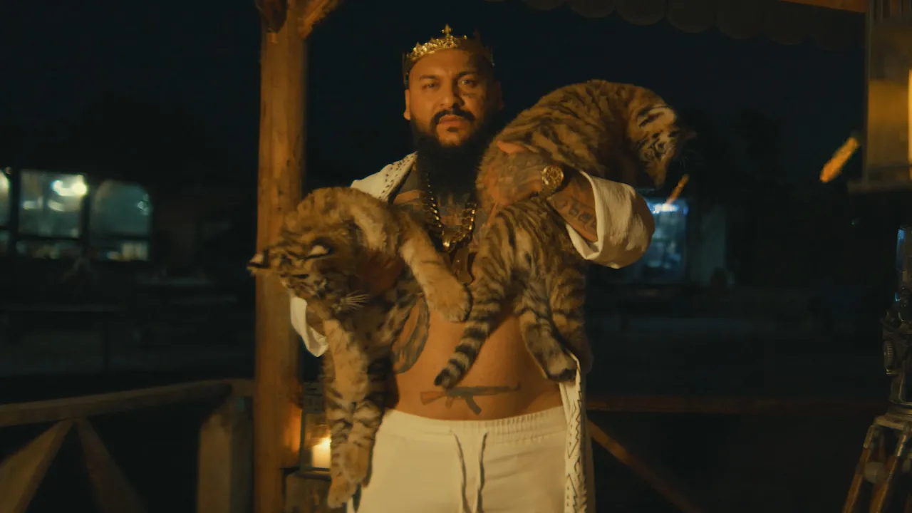 Dani Mocanu - Tigrul tau (Video Original)