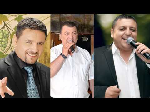 Colaj muzica de chef si petrecere cu PALERU, NICOLOIU si COCO