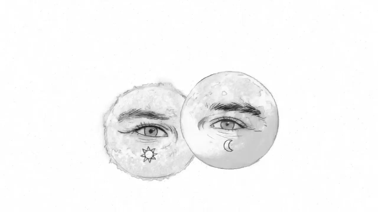 Florin Ciobanu - Echidistanti