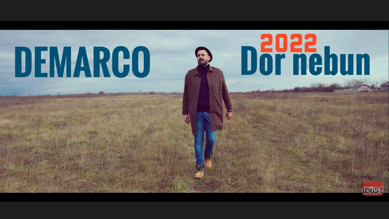 DEMARCO - Dor nebun (Originala 2022)