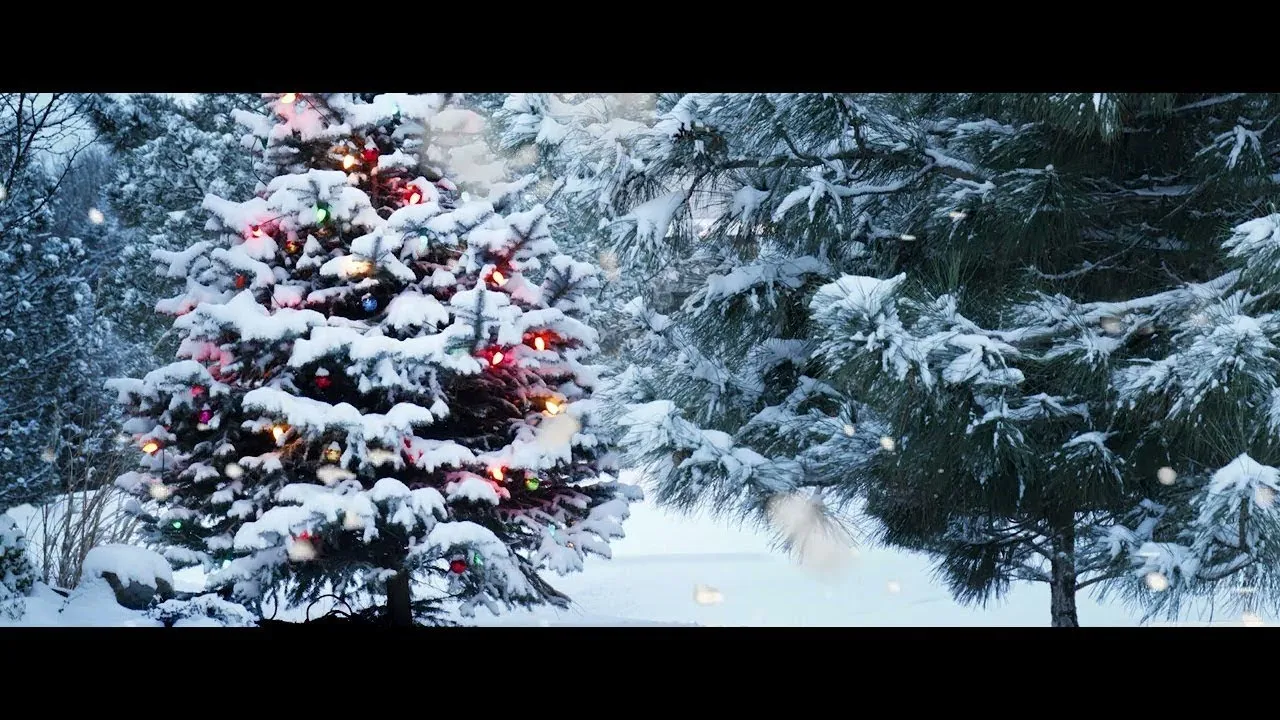 Andreea Socaci - O ce veste minunata Colind