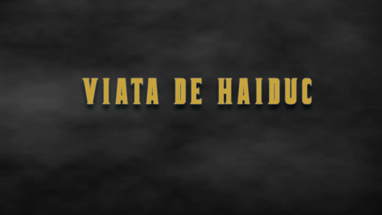 Jon Baiat Bun - Viata de haiduc (Original Radio Edit)