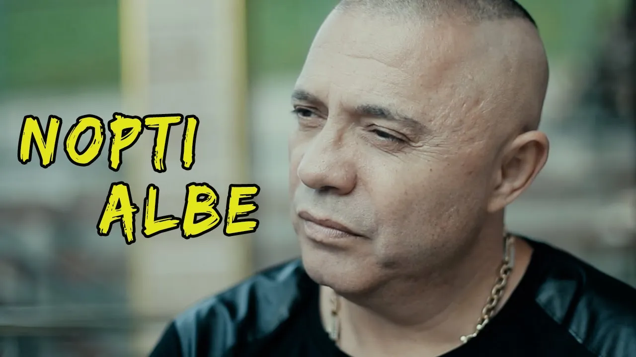 NICOLAE GUTA - Nopti albe (Originala 2020)