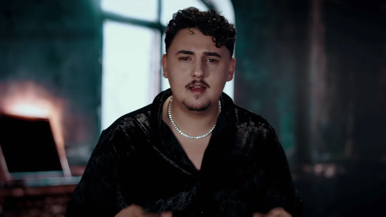 Stefan Liche - Nu mai vreau sa fac avere