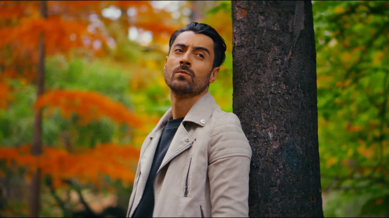 Robert Toma - Dragostea