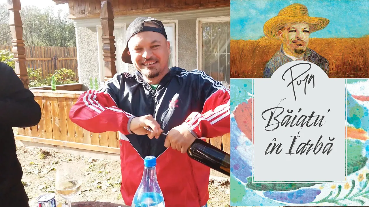 Puya - Baiatu' in iarba (Original Radio Edit)