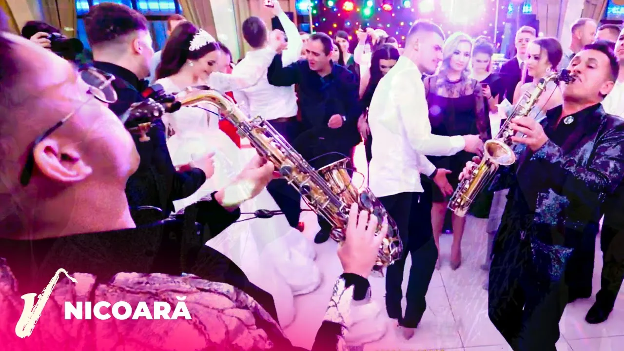 Armin si Petrica Nicoara cu Fane Banateanu - Muzica de Petrecere LIVE