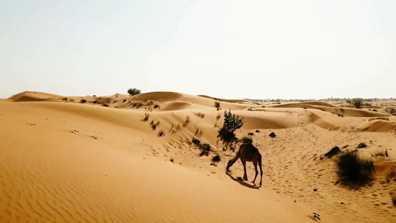 Lissa Ken feat. Jimmy Dub - Love me