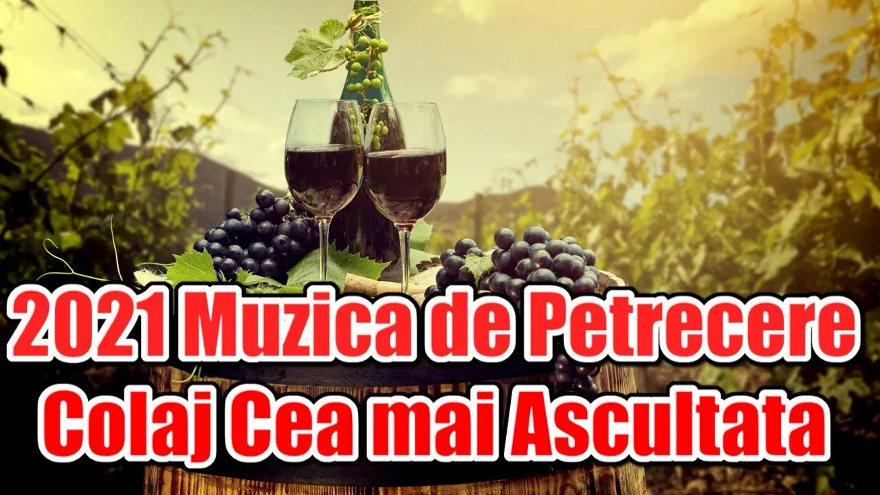 MUZICA DE PETRECERE 2021 - Colaj sarbe, hore, muzica populara, etno manele colaj
