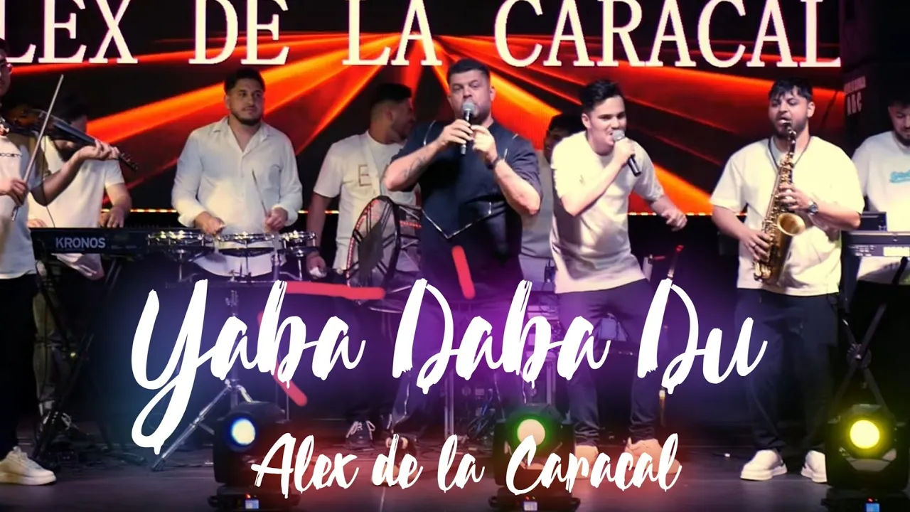 Alex de la Caracal - Yaba Daba Du Sistem Live 2025 (cover Iuli Neamtu)