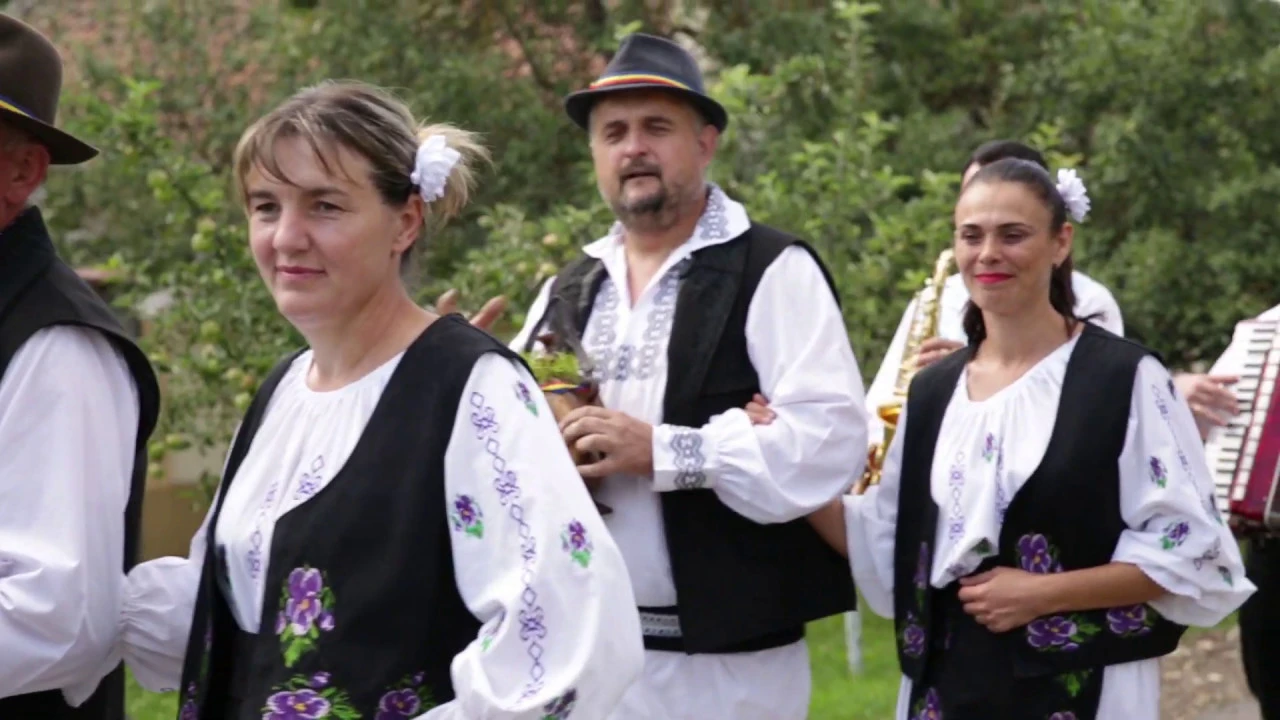 Felicia Costa si formatia Adi Ciote - Azi in sat ii mare nunta 2019