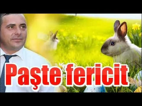 MUZICA DE PETRECERE 2019 - COLAJ DE PASTE 2019 - COLAJ DE PASTI PENTRU TOTI ROMANII