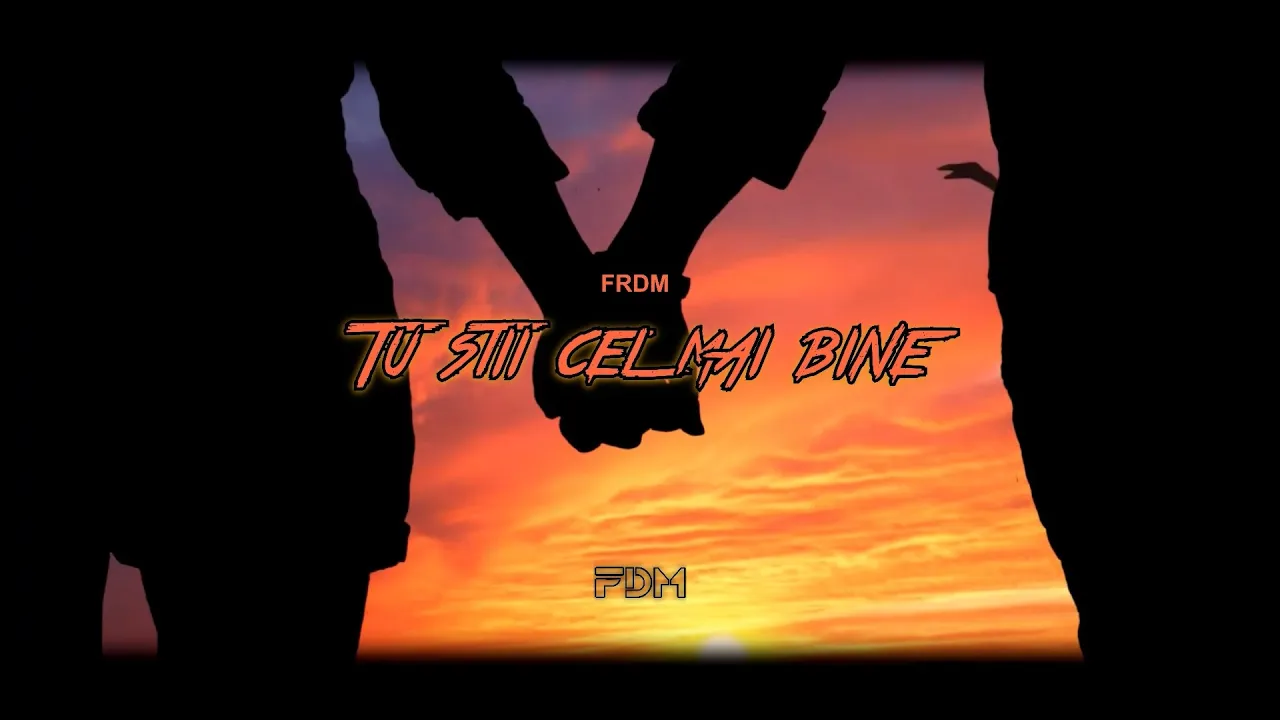 FRDM - Tu stii cel mai bine (COVER in romana)