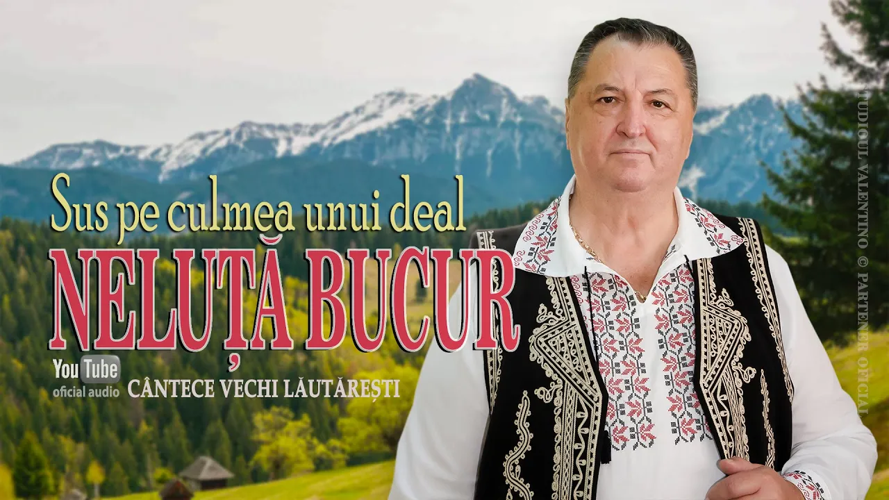 NELUTA BUCUR - Sus pe culmea unui deal (Colaj 2021)