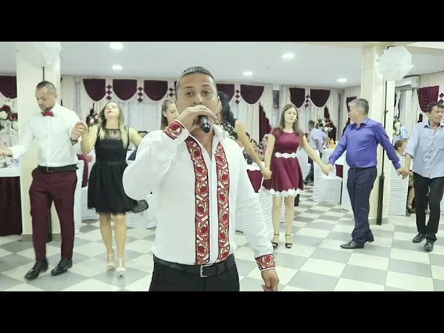 Fifi de la Celaru - Frunzulita viorele din toate mandrele mele Cea mai a dracu Sarba 2020