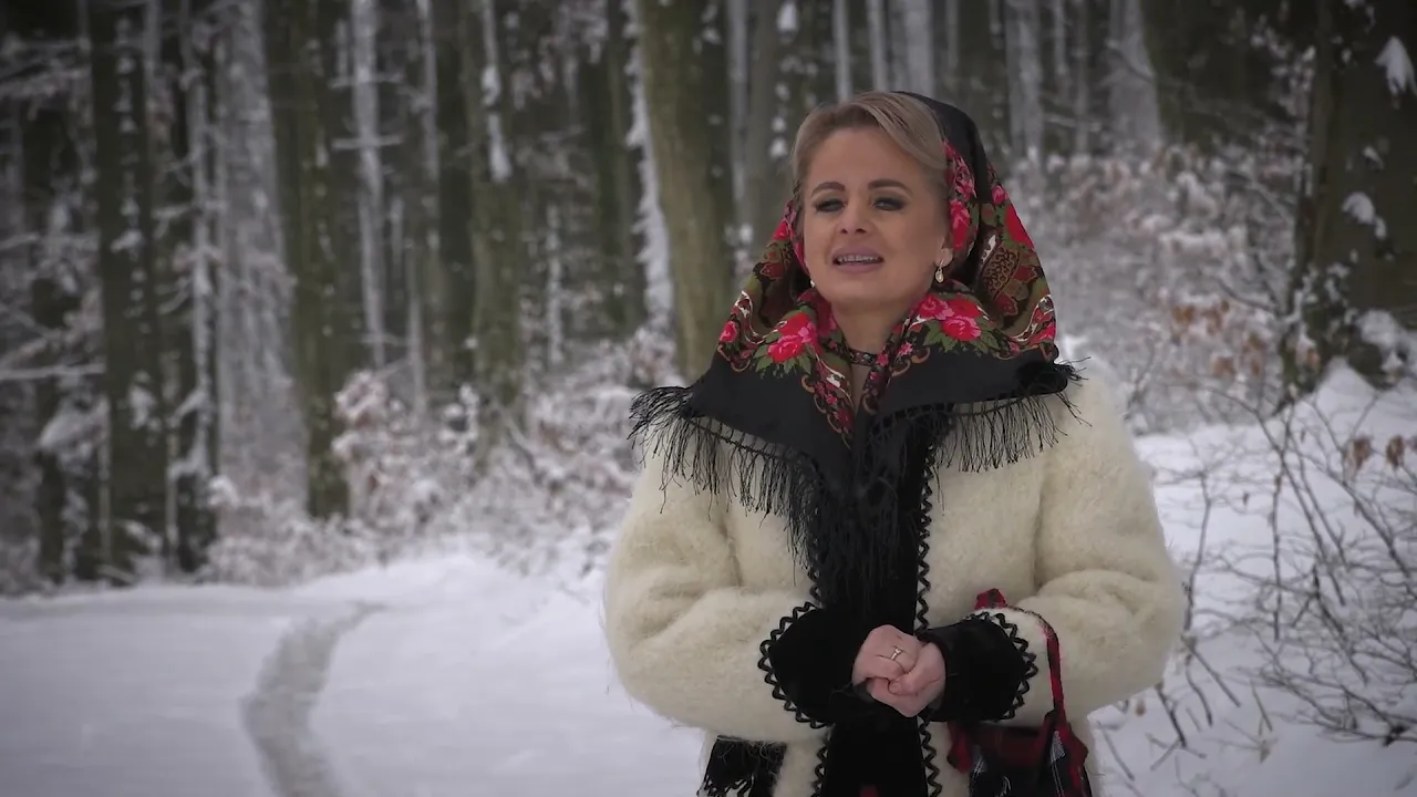 Lenuta Danci - Ies afara, vad o stea