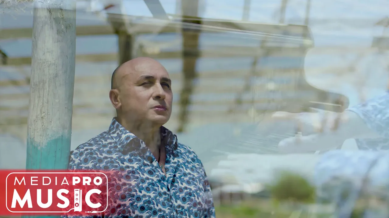 Marcel Pavel - Zana mea frumoasa din povesti (Original Radio Edit)