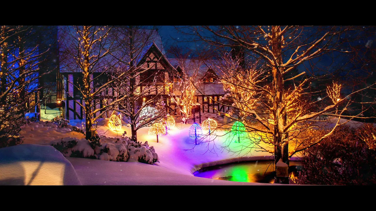 Nicolae Guta - Flori dalbe de mar (Originala 2018)