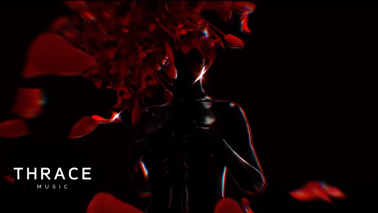 DONY - Guapa (Original Radio Edit)