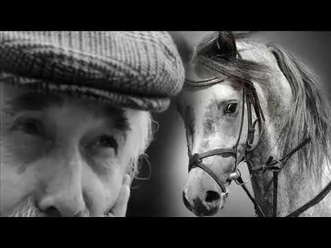 SORINEL DE LA PLOPENI - Colaj muzica lautareasca de pahar 2019