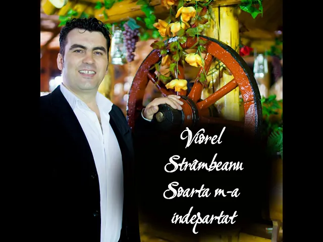 Viorel Strambeanu - Omule N Strainatate