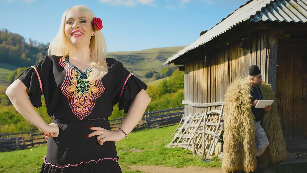 Mihaela Belciu - Are stana internet