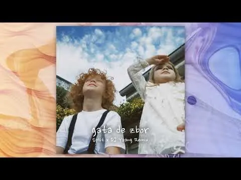 The Motans x Irina Rimes - Gata de zbor (Split x DJ Yaang)