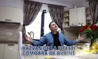 Razvan de la Pitesti - Comoara de rubine