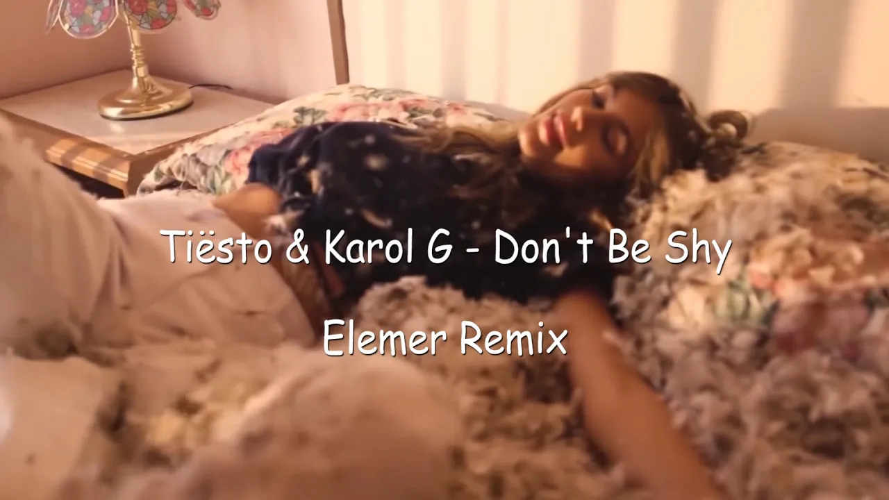 Tiesto & Karol G - Don't Be Shy (Elemer Remix)