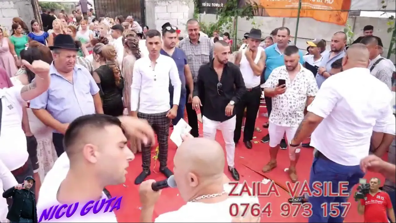 Nicolae Guta - Vine ploaia cu dolari (Live)