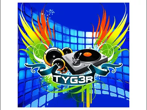 TyG3r & Dj Nardy Marinescu - Mega Boom 2017 (Original)