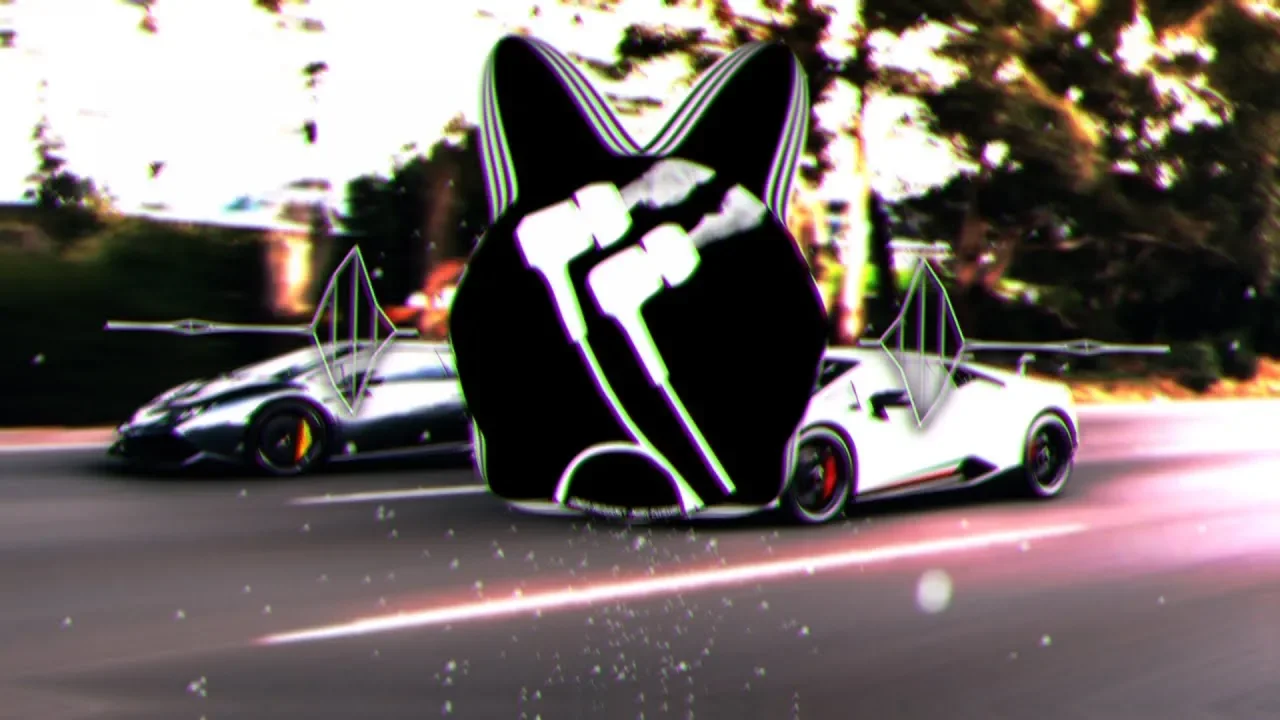 Besomorph x Biometrix - Wilted (ft. Bolshiee)(Bass Boosted)