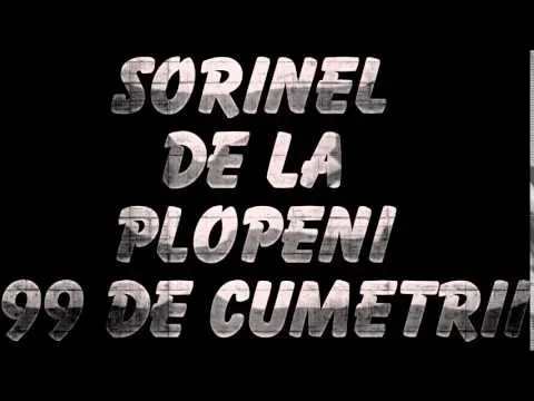 SORINEL DE LA PLOPENI 99 DE CUMETRII
