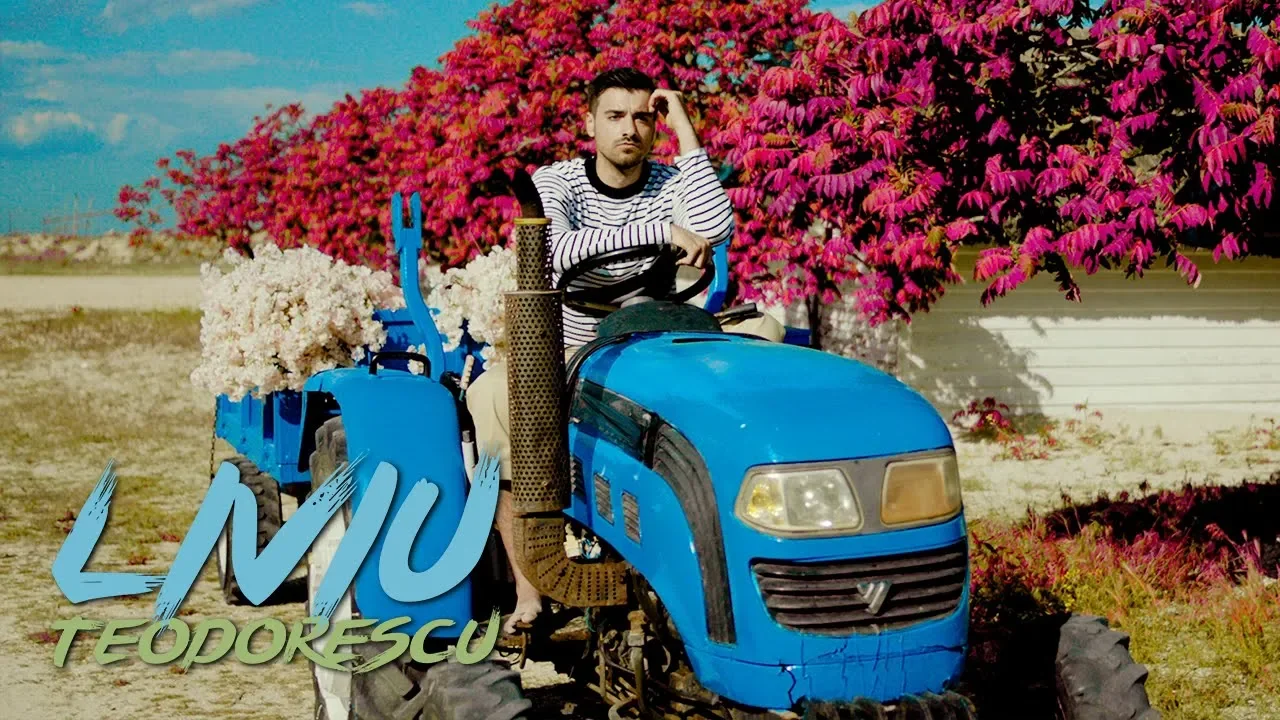 Liviu Teodorescu - Asculta (Original Radio Edit)