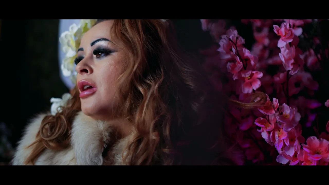 Ana Maria Goga - Deceptii si placeri (Trupa Roson)