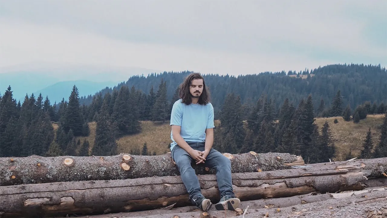 Vlad Flueraru - Bezna (Original Radio Edit)