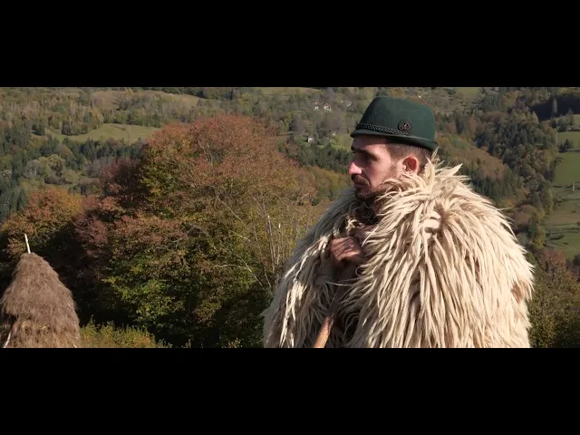 Ioana Ciorea - Frunza verde stejarel NOU 2020