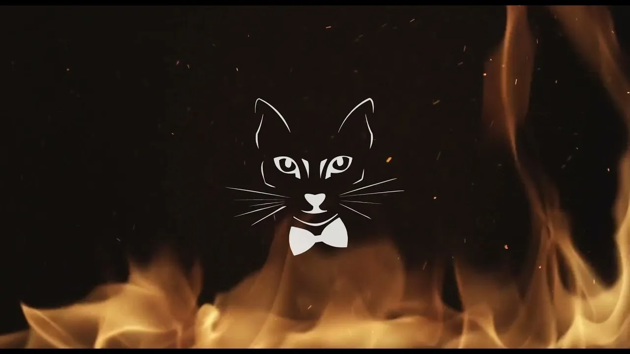 The Motans - In Golul Tau (SADPAW Remix)