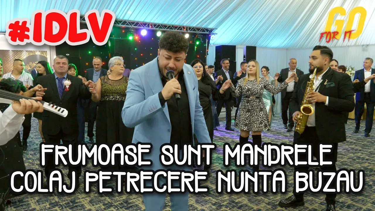 Iulian de la Vrancea - Frumoase sunt mandrele (Colaj Nou Muzica de petrecere)