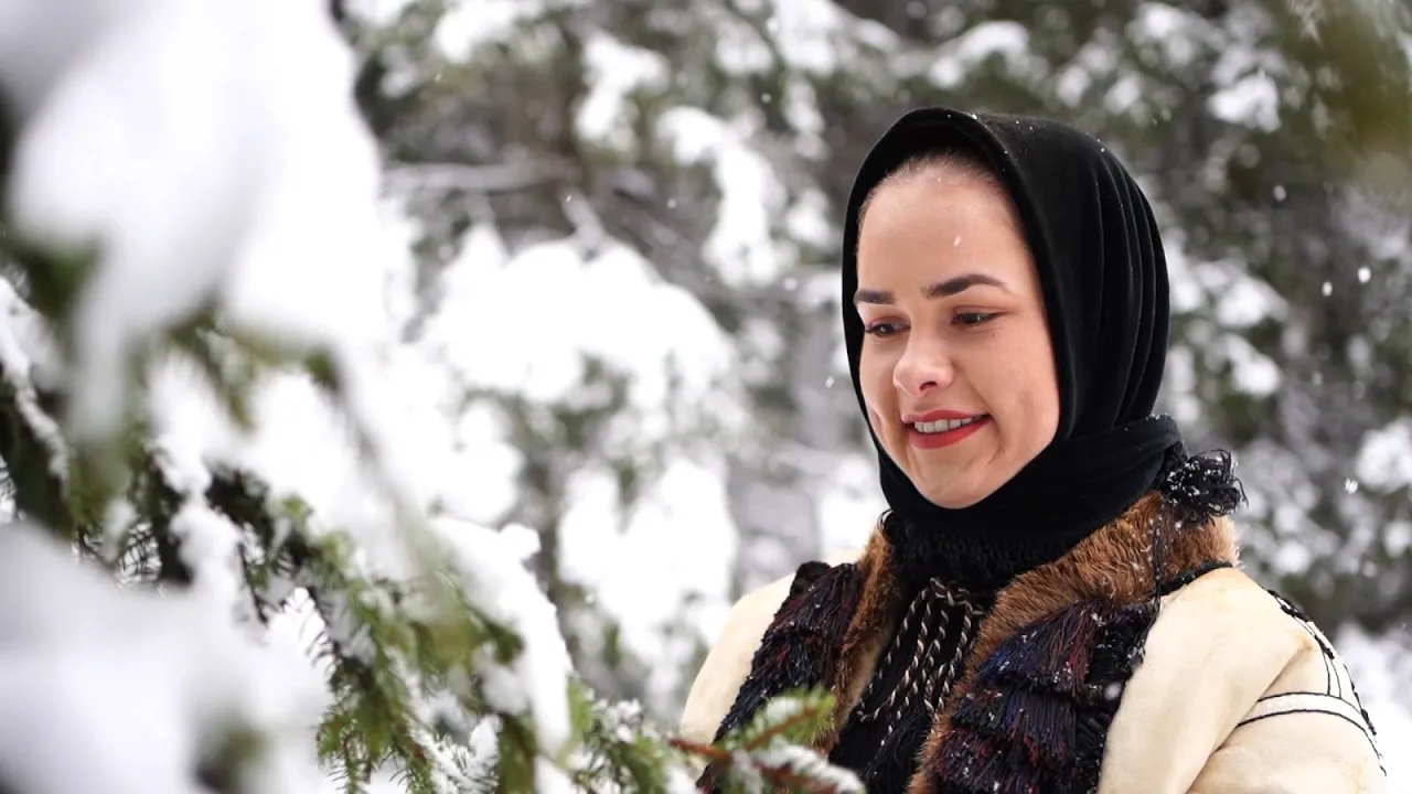 Alina Andrei - Sara Craciunului Sfant