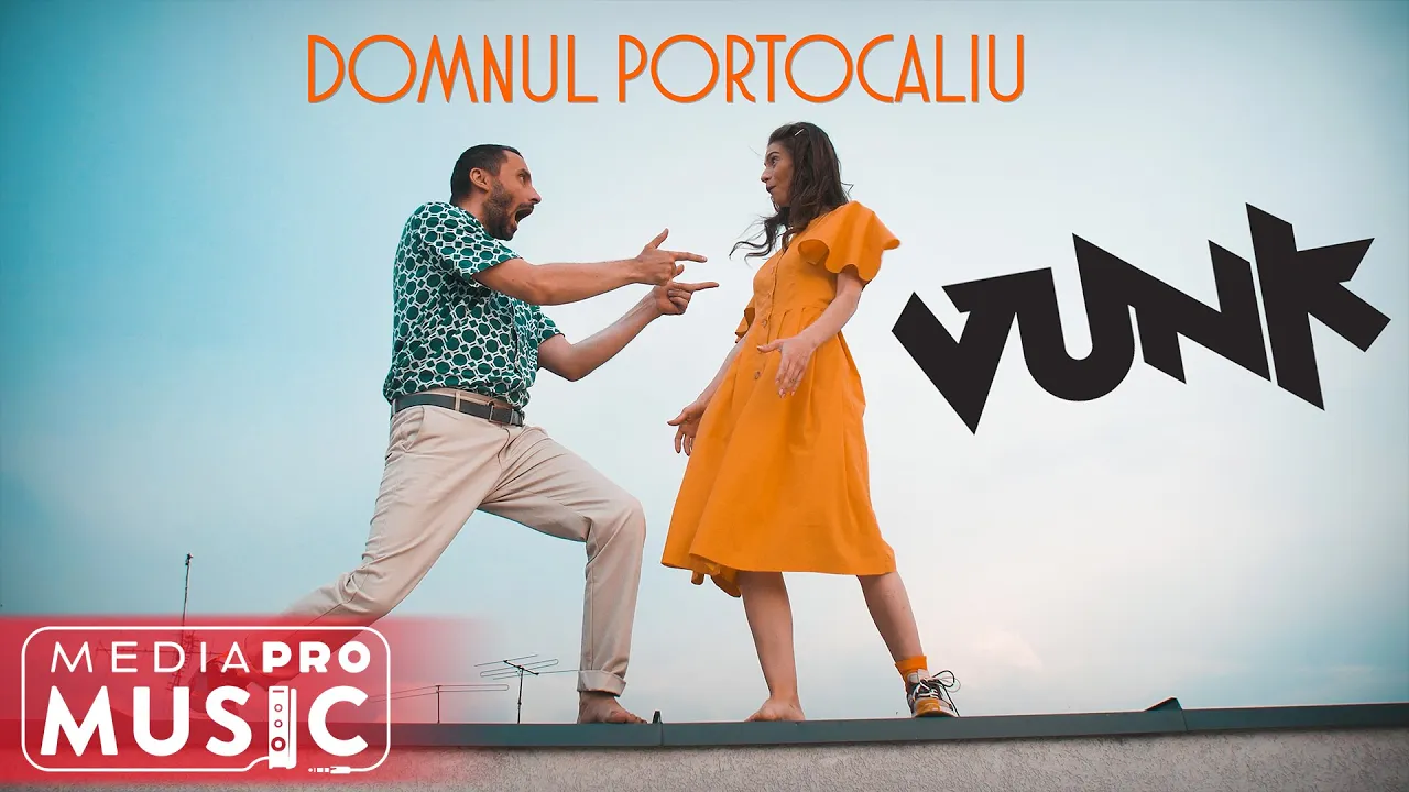 VUNK - Domnul Portocaliu (Original Radio Edit)