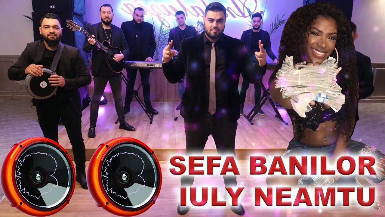 Iuly Neamtu - Sefa banilor (Remix)